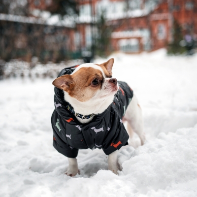 Зимний комбинезон куртка для маленьких собак Terry черный L-3