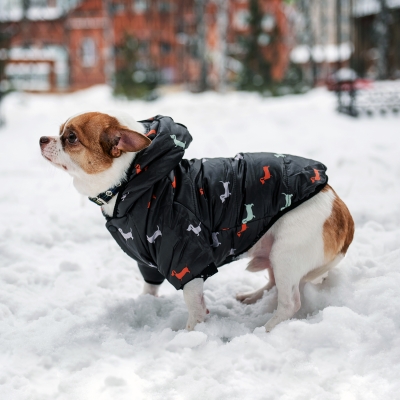 Зимний комбинезон куртка для маленьких собак Terry черный L-4